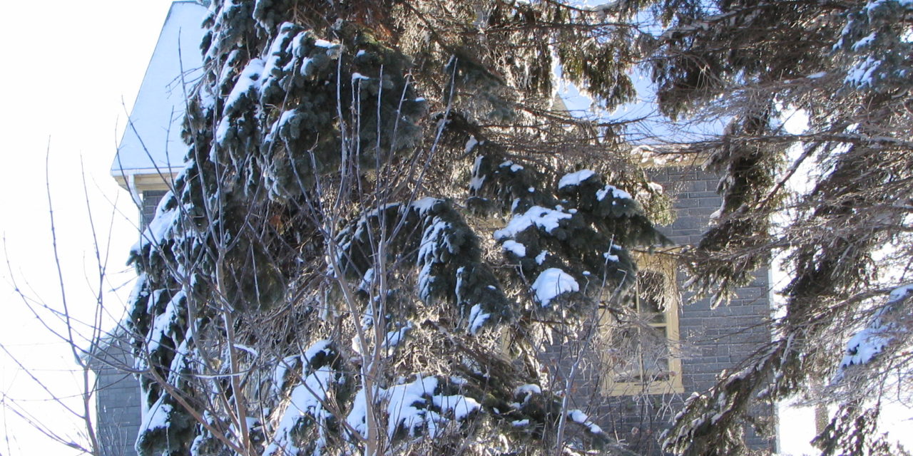 220 rang du Grand-Bois