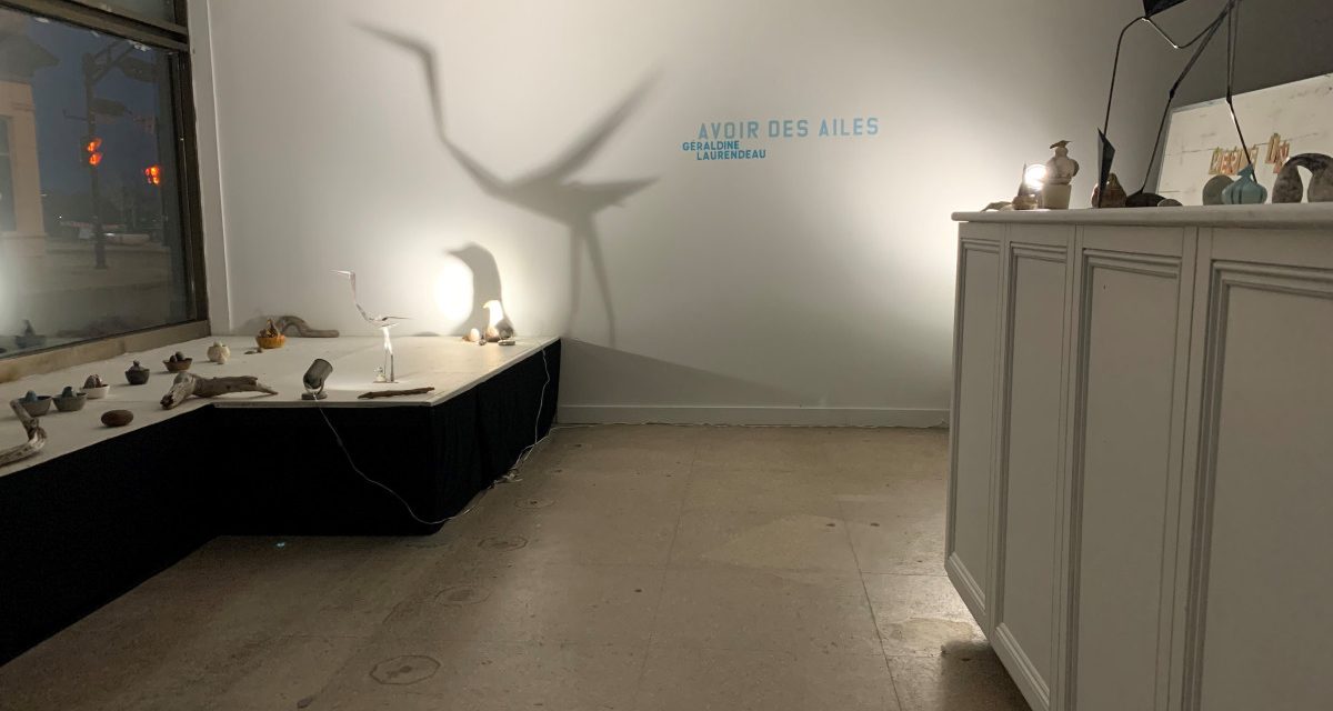 Avoir des ailes – visite en vitrine
