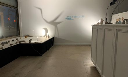 Avoir des ailes – visite en vitrine